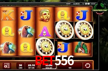 A Experiência Imersiva dos Cassinos Ao Vivo no Bet556