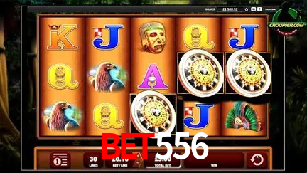 A Experiência Imersiva dos Cassinos Ao Vivo no Bet556